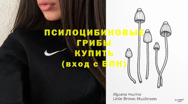 шишки Алексин