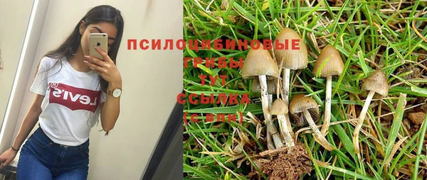 шишки Алексин