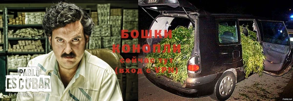 шишки Алексин